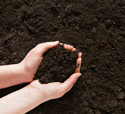 Hosting, The Rich Soil